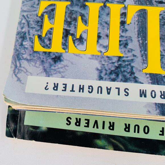 Outdoor Life Magazine Lot Of 2 Vintage 1992 Deer Hunting Trout Bass Ice Fishing - Picture 6 of 7